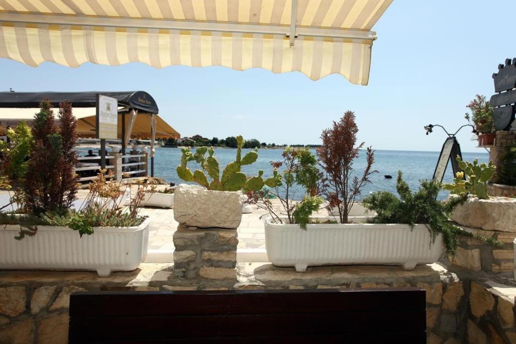 Sea View Apartment Umag 2 Kültér fotó